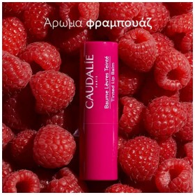 Caudalie Tinted Lip Balm, Ενυδατικό Στικ για τα Χείλη με Χρώμα & Άρωμα Σμέουρου 4.5gr – φωτογραφία 5